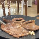 가성비 돼지갈비 택배 추천! 2kg 22,000원 도담이농장 솔직후기