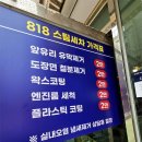 818스팀세차