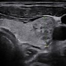 데일리연합의원 이미지