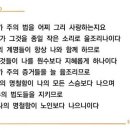 2026. 9. 7(월) ＜생명의 삶 큐티＞ 말씀의 맛을 아는 지혜자 (시편 119편 89- 104절) 이미지