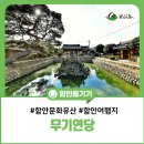 충효사 | 함안 여행지 겨울에 분위기 있는 사진 남길 수 있는 곳, 무기연당