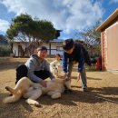 펀한노리터 이미지