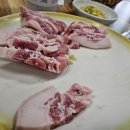돈마실