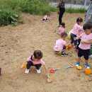 윤가네 농장 이미지