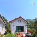 밀드플레 이미지