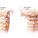 제삼한의원 이미지