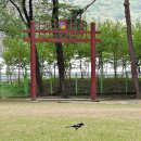 서울 헌릉과 인릉 이미지