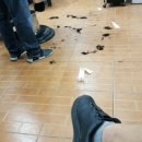 행복남성컷