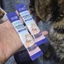 (주)정성담 | 기호성좋은 고양이간식 추천 누터스가든 정성담은 한포스틱 연어맛 급여 후기