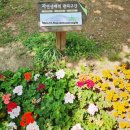고양국제꽃박람회 후기 58,000원 쓰고도 평가 갈린 이유