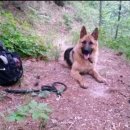 시래기코다리찜 이미지