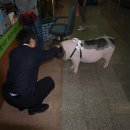 복도야지 - 달성군 테크노상업로2길 15-1 | 복도야지