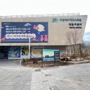 전환점/숲속길/낮잠 | 국립백두대간수목원 튤립 지금 절정🌷 호랑이숲 트램 후기 (봉화 가볼만한곳)