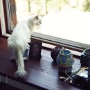 자매의하루 이미지