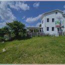 강아지 보호센터 이미지