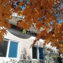 북상면횟집 이미지