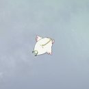 조이럭