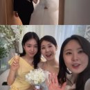 종합축사 스타뉴스