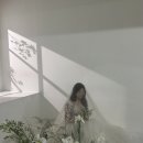 그레이스케일 이미지