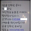 강피싱