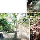 수천농장 이미지