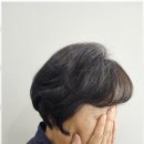 미장헤어 - 서산시 안견로 151 | 미장헤어
