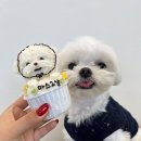 뽀글뽀글 반려견 유치원&호텔 이미지