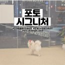 포토시그니처은계