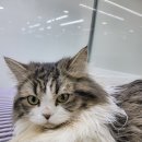 필상농장 이미지