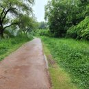 원천리천 이미지