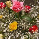 모세마취통증의학과의원 이미지