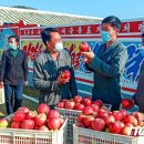 종봉농장 이미지