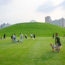 2025 순천 댕댕트레인 티스토리