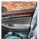 더케이펫 강아지분양 이미지