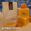 멜로우 | 천안 솔트앤멜로우 후기 솔트앤멜로우 식빵과 소금빵
