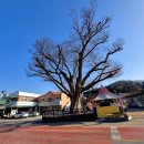 창리1리마을회관 이미지