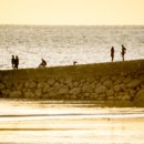 노을빛 풍경 이미지