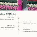 새벽노을 커머스 | [에버랜드 꿀팁 총정리] 입장권 할인부터 코스추천까지!