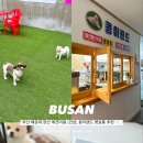 콩이랜드 이미지