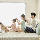 올펫 이미지