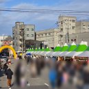 세븐일레븐 삼척문화거리점 | 2026 삼척정월대보름제 현장 후기! 저스트절크 직관 &amp; 축제 방문 꿀팁