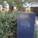 오호리 | 후쿠오카 오호리공원 맛집 미슐랭 프렌치 '하나노키' 런치 후기