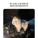 방촌 허약국 앞 | 엔딩 크레딧이 다 올라간 후에도 우리는 또 다른 해피엔딩을 향해 가요