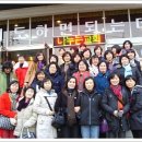 빛과 소금 이미지