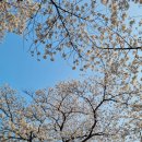 경주 황리단길 짐보관 장소 이용 가격 정보