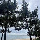 호텔 쏠레르 이미지