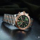 N&A로열독 이미지