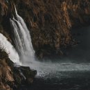 지혜의 심리학 이미지