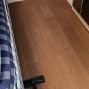 한강명품세탁 | 1억짜리 헤스텐스 침대(제니침대) 에 강아지가 오줌을 쌌어요ㅜㅜ 세탁과정(강남센트럴아이파크)