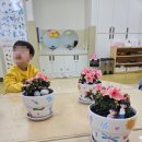 서울중랑초등학교병설유치원 이미지